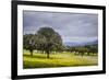 Dehesa Landscape, Caceres, Extremadura, Spain, Europe-Michael Snell-Framed Photographic Print