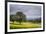 Dehesa Landscape, Caceres, Extremadura, Spain, Europe-Michael Snell-Framed Photographic Print