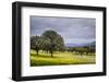 Dehesa Landscape, Caceres, Extremadura, Spain, Europe-Michael Snell-Framed Photographic Print