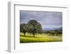 Dehesa Landscape, Caceres, Extremadura, Spain, Europe-Michael Snell-Framed Photographic Print