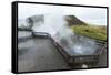 Deildartunguhver Thermal Spring, Borgarnes, Iceland, Polar Regions-Michael-Framed Stretched Canvas