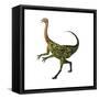 Deinocheirus, a Large Carnivorous Dinosaur-null-Framed Stretched Canvas