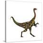 Deinocheirus Dinosaur-Stocktrek Images-Stretched Canvas