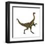 Deinocheirus Dinosaur-Stocktrek Images-Framed Art Print