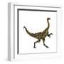 Deinocheirus Dinosaur-Stocktrek Images-Framed Art Print