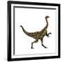 Deinocheirus Dinosaur-Stocktrek Images-Framed Art Print