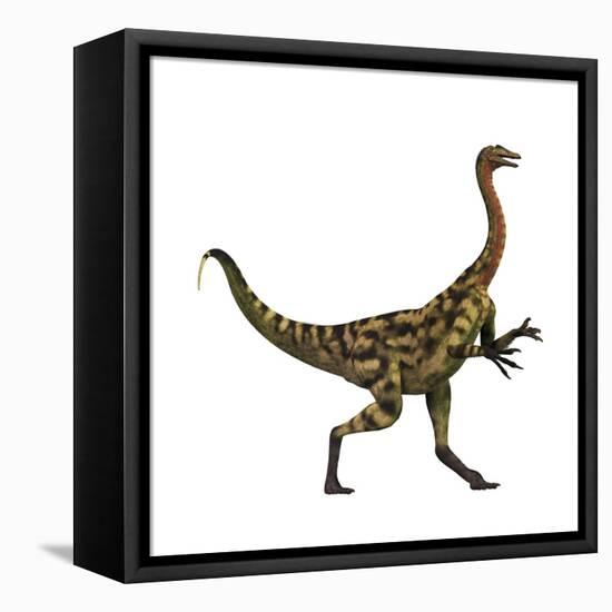 Deinocheirus Dinosaur-Stocktrek Images-Framed Stretched Canvas