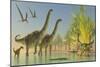 Deinocheirus Dinosaurs Watch a Group of Argentinosaurus Walk Through Shallow Waters-null-Mounted Premium Giclee Print