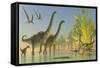 Deinocheirus Dinosaurs Watch a Group of Argentinosaurus Walk Through Shallow Waters-null-Framed Stretched Canvas