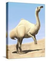 Deinocheirus Standing under the Sun-Stocktrek Images-Stretched Canvas