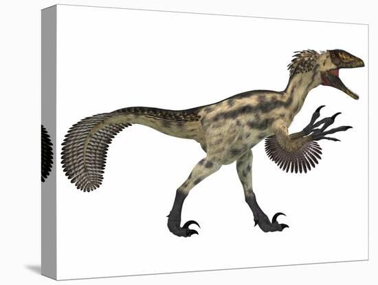 Deinonychus, a Carnivorous Dinosaur from the Early Cretaceous Period-null-Stretched Canvas