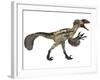 Deinonychus, a Carnivorous Dinosaur from the Early Cretaceous Period-null-Framed Art Print