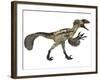 Deinonychus, a Carnivorous Dinosaur from the Early Cretaceous Period-null-Framed Art Print