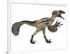 Deinonychus, a Carnivorous Dinosaur from the Early Cretaceous Period-null-Framed Art Print