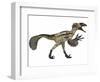 Deinonychus, a Carnivorous Dinosaur from the Early Cretaceous Period-null-Framed Art Print