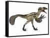 Deinonychus, a Carnivorous Dinosaur from the Early Cretaceous Period-null-Framed Stretched Canvas