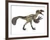 Deinonychus, a Carnivorous Dinosaur from the Early Cretaceous Period-null-Framed Art Print