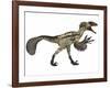 Deinonychus, a Carnivorous Dinosaur from the Early Cretaceous Period-null-Framed Art Print