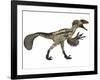 Deinonychus, a Carnivorous Dinosaur from the Early Cretaceous Period-null-Framed Art Print