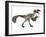 Deinonychus, a Carnivorous Dinosaur from the Early Cretaceous Period-null-Framed Art Print