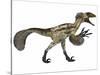 Deinonychus, a Carnivorous Dinosaur from the Early Cretaceous Period-null-Stretched Canvas