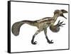 Deinonychus, a Carnivorous Dinosaur from the Early Cretaceous Period-null-Framed Stretched Canvas