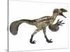 Deinonychus, a Carnivorous Dinosaur from the Early Cretaceous Period-null-Stretched Canvas