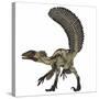 Deinonychus, a Carnivorous Dinosaur from the Early Cretaceous Period-Stocktrek Images-Stretched Canvas