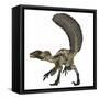 Deinonychus, a Carnivorous Dinosaur from the Early Cretaceous Period-Stocktrek Images-Framed Stretched Canvas
