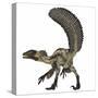 Deinonychus, a Carnivorous Dinosaur from the Early Cretaceous Period-Stocktrek Images-Stretched Canvas