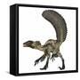 Deinonychus, a Carnivorous Dinosaur from the Early Cretaceous Period-Stocktrek Images-Framed Stretched Canvas