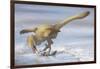 Deinonychus Antirrhopus Preys on a Fish-null-Framed Art Print