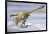 Deinonychus Antirrhopus Preys on a Fish-null-Framed Art Print