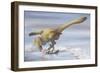 Deinonychus Antirrhopus Preys on a Fish-null-Framed Art Print