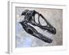 Deinonychus Dinosaur Skull-Stocktrek Images-Framed Art Print