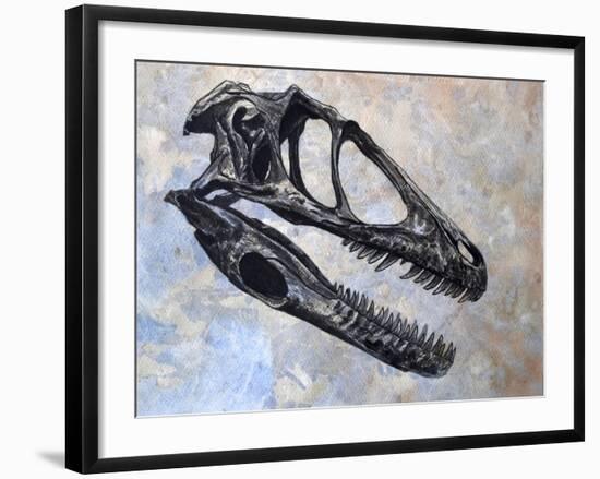 Deinonychus Dinosaur Skull-Stocktrek Images-Framed Art Print