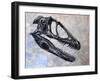 Deinonychus Dinosaur Skull-Stocktrek Images-Framed Art Print