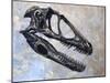 Deinonychus Dinosaur Skull-Stocktrek Images-Mounted Art Print