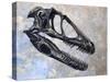 Deinonychus Dinosaur Skull-Stocktrek Images-Stretched Canvas