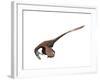 Deinonychus Dinosaur-null-Framed Art Print