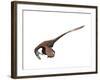 Deinonychus Dinosaur-null-Framed Art Print