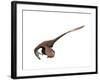 Deinonychus Dinosaur-null-Framed Art Print