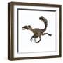 Deinonychus Dinosaur-Stocktrek Images-Framed Art Print