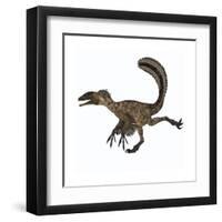 Deinonychus Dinosaur-Stocktrek Images-Framed Art Print