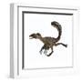 Deinonychus Dinosaur-Stocktrek Images-Framed Art Print