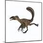 Deinonychus Dinosaur-Stocktrek Images-Mounted Art Print