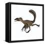 Deinonychus Dinosaur-Stocktrek Images-Framed Stretched Canvas