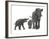 Deinotherium with Offspring-Stocktrek Images-Framed Art Print