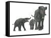 Deinotherium with Offspring-Stocktrek Images-Framed Stretched Canvas