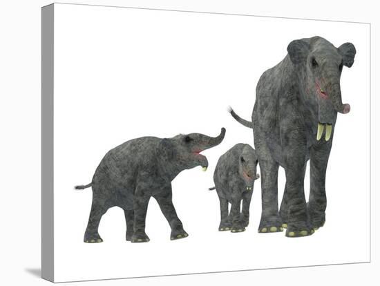 Deinotherium with Offspring-Stocktrek Images-Stretched Canvas